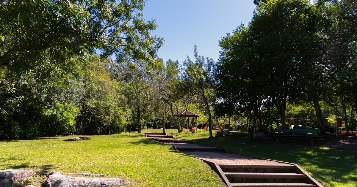 Roteiro da zona sul: um guia completo para você aproveitar o melhor da região