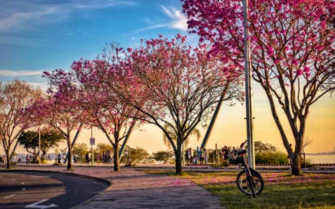 Melhores Bairros da Zona Sul de Porto Alegre