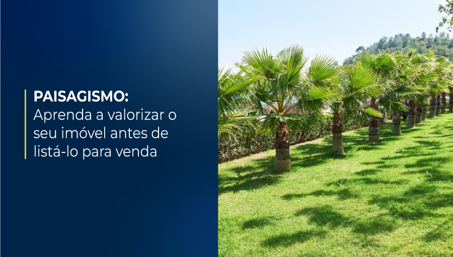 Entenda o importante papel do paisagismo na valorização de um imóvel à venda