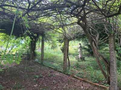 Terreno à venda com 2.057m² no bairro Menino Deus, Zona Central de Porto Alegre