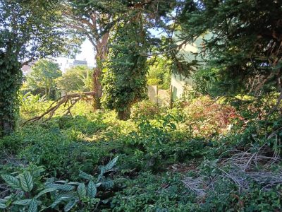 Terreno à venda com 605m² no bairro Cristal, Zona Sul de Porto Alegre