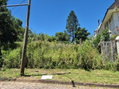 Terreno à venda com 1.153m² no bairro Jardim Isabel, Zona Sul de Porto Alegre