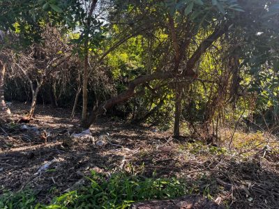 Terreno à venda com 893m² no bairro Jardim Isabel em Porto Alegre